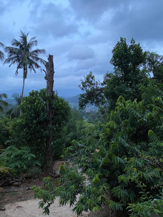 Pearl'S Homestay Matale Exterior photo