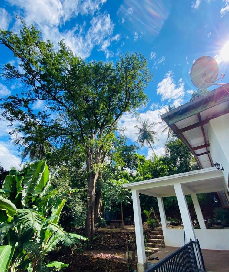 Pearl'S Homestay Matale Exterior photo